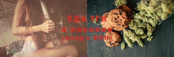 индика Волоколамск