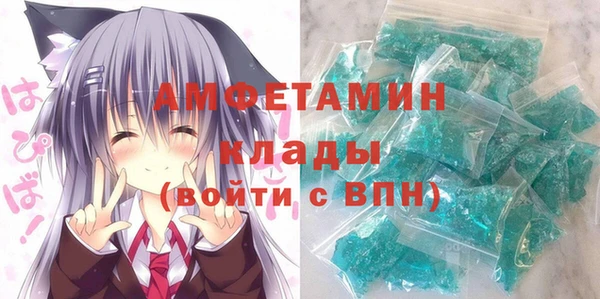 индика Волоколамск