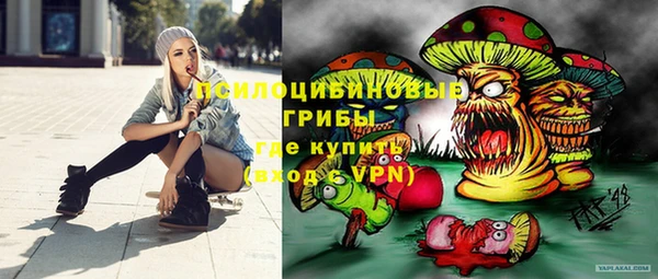 индика Волоколамск