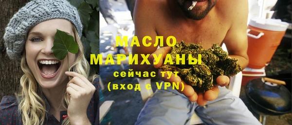индика Волоколамск