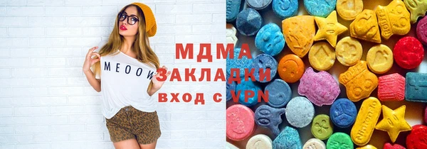 индика Волоколамск